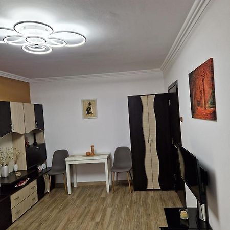 Garsoniera Apartment Baile Herculane Exterior photo