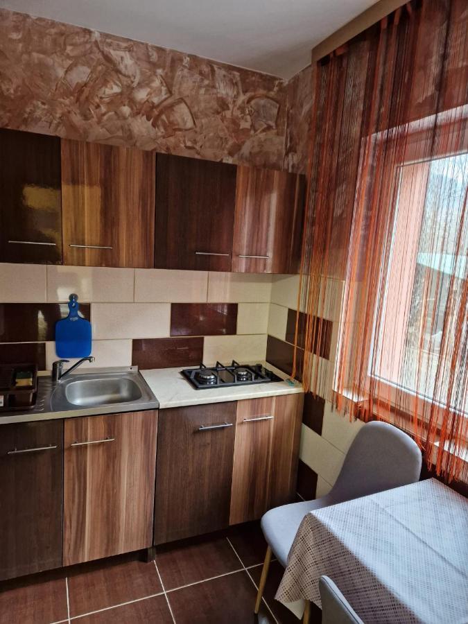 Garsoniera Apartment Baile Herculane Exterior photo
